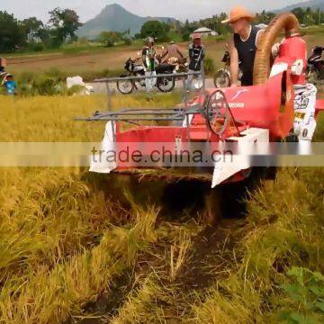 Agricultural Machines Harvester For Sale Manufacturer Harvester Cost 4LZ-0.8