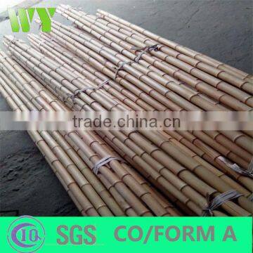 Eco-friendly Cheap Grabbing Bamboo Pole for Support photo-3
