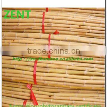 ZENT-90 White Saw Bamboo Poles