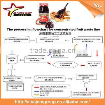 Hot Sale Full Automatic Industrial Raspberry Jam Maker Machine High Viscosity Production Line photo-4