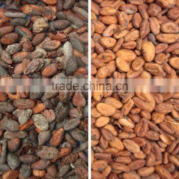 Agricultural Machines Advanced Optical Sorting Cocoa Bean CCD Color Sorter photo-3