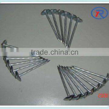 Trade Assurance Umbrella Roofing Nails With Twist Shank 2'' 2.5'' 3'' From China photo-6