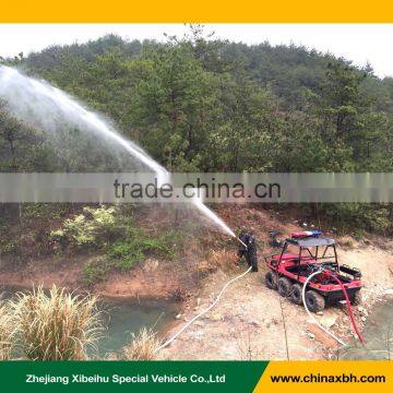 China Sports Vehicle Amphibious Atv photo-4