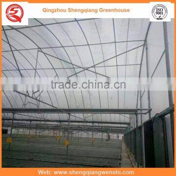 Agriculture Equipment Multi-span 12m Plastic PE Film Agriculture Greenhouse for Sale photo-4