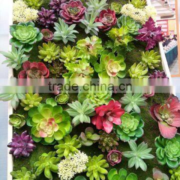 Indoor Decoration Artificial Mini Succulent Plants Wall photo-3