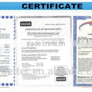 Ginger Tea Controls Chronic Pain photo-6