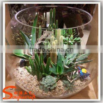 Factory hot sale mini ornamental artificial tropical succulent plants for decoration