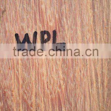 Suriname WPL / Witte Pinto Locus Log photo-2