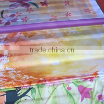 Machine for Textile, Heat Sublimation Machine for Printing Textile Roll to Roll photo-3