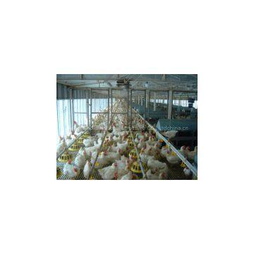 High Quality Broiler Farm for Sale