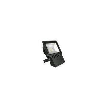 AC120V Waterproof LED Flood Light 100W Bridgelux Meanwell Driver