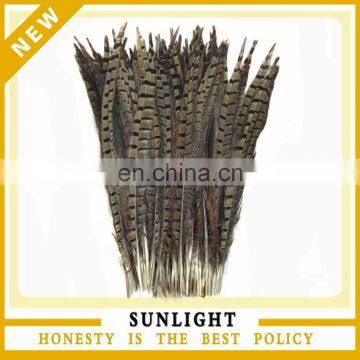 pheasant feather factory supply natural pheasant feather for carnival or flower decoration