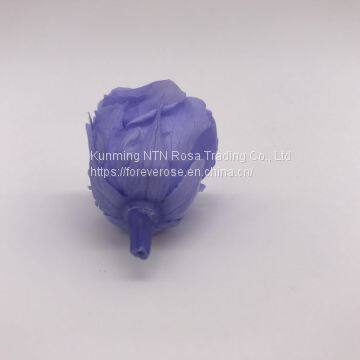 Preserved Flower Rose for Decor Supplies photo-4
