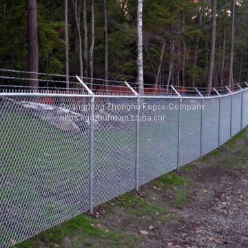 Decoratvie black chain link fence for courtyard