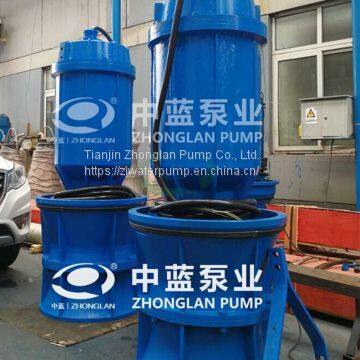 Pitshaft Axial- Flow Pump photo-2
