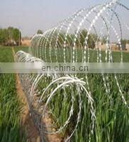 Low Price High Grade Concertina Hot Dipped Galvanized Steel Coil Razor Wire Low Price photo-4