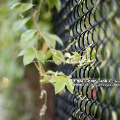 Chain Link Fence Chainlink Fence Chain-link Chainlinkfencing Security Fence Green Vinyl PVC Coated Commercial Fecne Industrial Fence Residential Fence photo-3