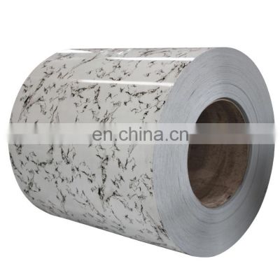 Roofing Sheet Ral Color Prepainted Galvanized PPGI Steel Coil for Building