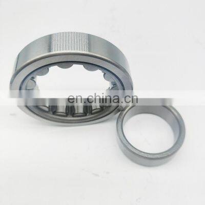 NSK Wholesale Cylindrical Roller Bearing NN415 NN416 NN417 NN418 NN419 ECM ECJ E ECP