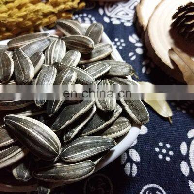 100% Raw Sunflower Seeds 361 for Sale New Crop Common Sunflower Seeds Export Sunflower Seeds photo-5