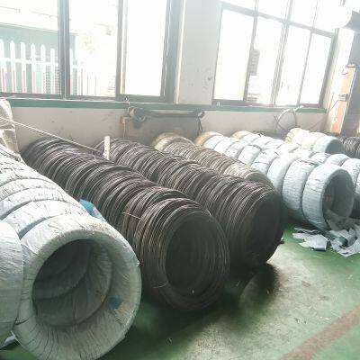 Ningbo Tian Yuan IMP.&EXP. Co., LTD. company overview - view 2