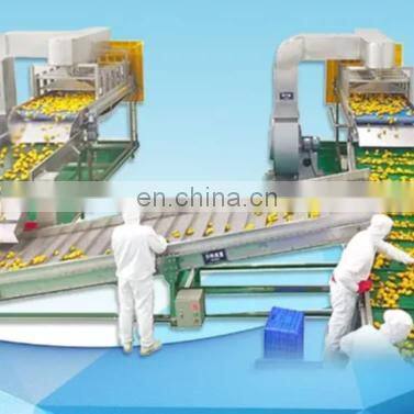 Automatic industrial  complete pineapple juice production line