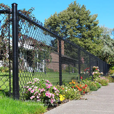 Galvanized woven chain link mesh /Chain Link mesh Fance/ Farm mesh Fence / Galvanized Wire fence/ PVC Costed/ Woven Fence