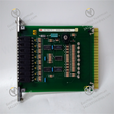 XV9738a HEIE450617R1 Módulo de entrada analógica