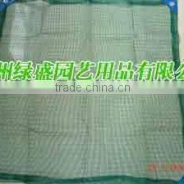 Window screening net