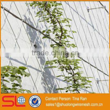 2mmx50mm Stainless Steel Rope Mesh Green Wall photo-5