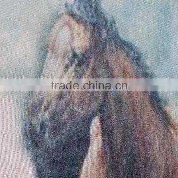 New Fashion Horse Design Printing Cotton Knit Fabric for t Shirt Clothing photo-2