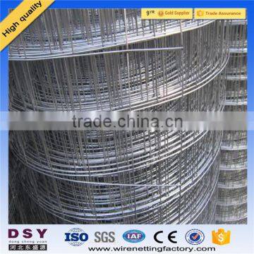 2016 Trade Assurance wholesale Competitive Price galvanized welded wire mesh ISO9001 factory                        
                                                                                Supplier's Choice