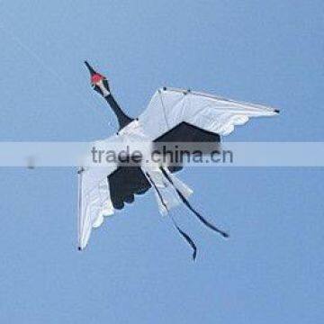 candle kites