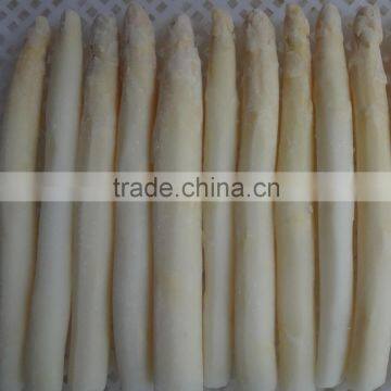 Frozen style white asparagus whole spears