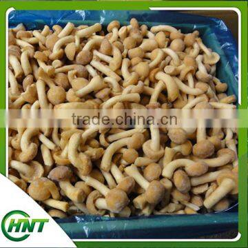 High Quality Top Quality Frozen Fresh Nameko photo-4