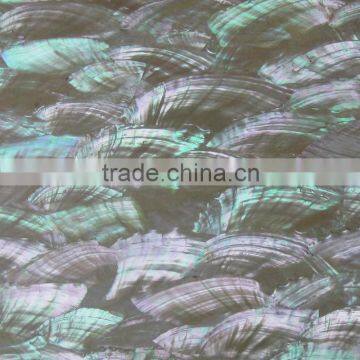 abalone shell paper
