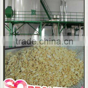 Protein Powder Drying