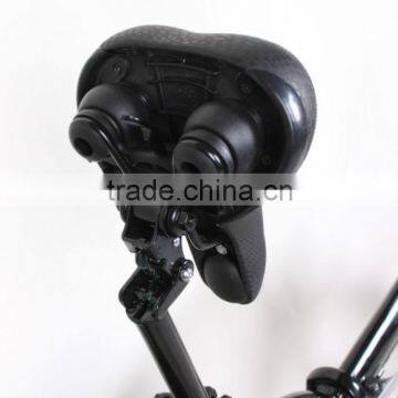 20inch 250w Folding Electric Bike