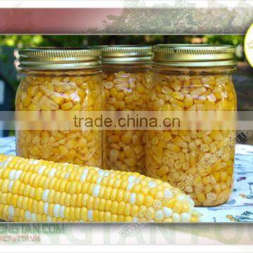 Sweet corn in jar with high quality