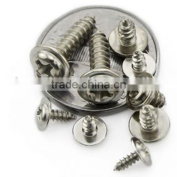 304 Stainless Steel Screw