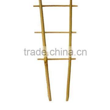 Bamboo Trellis - For plant support