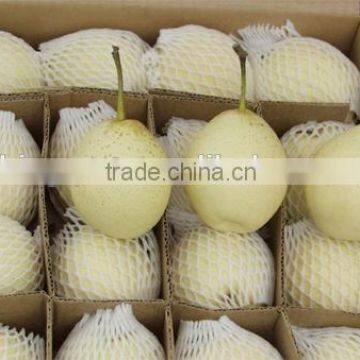 2015 Fresh ya pear with good quality for hot sale