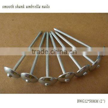 Q235 smooth shank galvazniing roofing nails