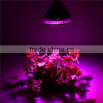 Indoor led grow light diy led grow light kits COB 12w led grow light