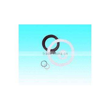PTFE Gasket