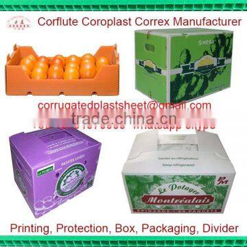 pp apple fruit packaging boxes