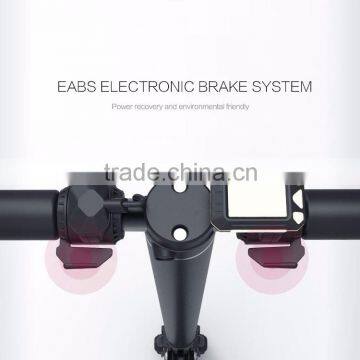 Fashion Lightest 6.3 KG Electric Scooter Foldable Hoverboard Carbon Fiber City Bike photo-6