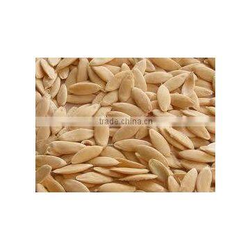 CUCUMBER SEEDS