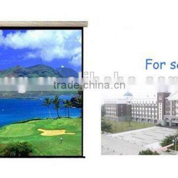 Motorised Projection Screen, Electric Projection Screen, Big Size Projector Screen for Office Home Theater School 60-300 Inches