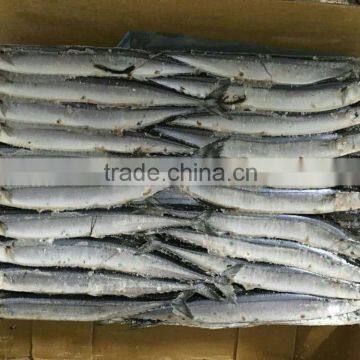 Frozen Pacific Saury ( Cololnbis snira )